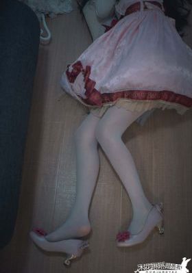 2024新杨门女将电视剧