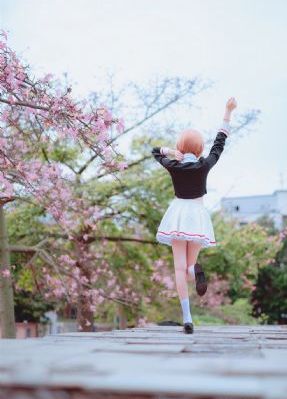 法医秦明之幸存者